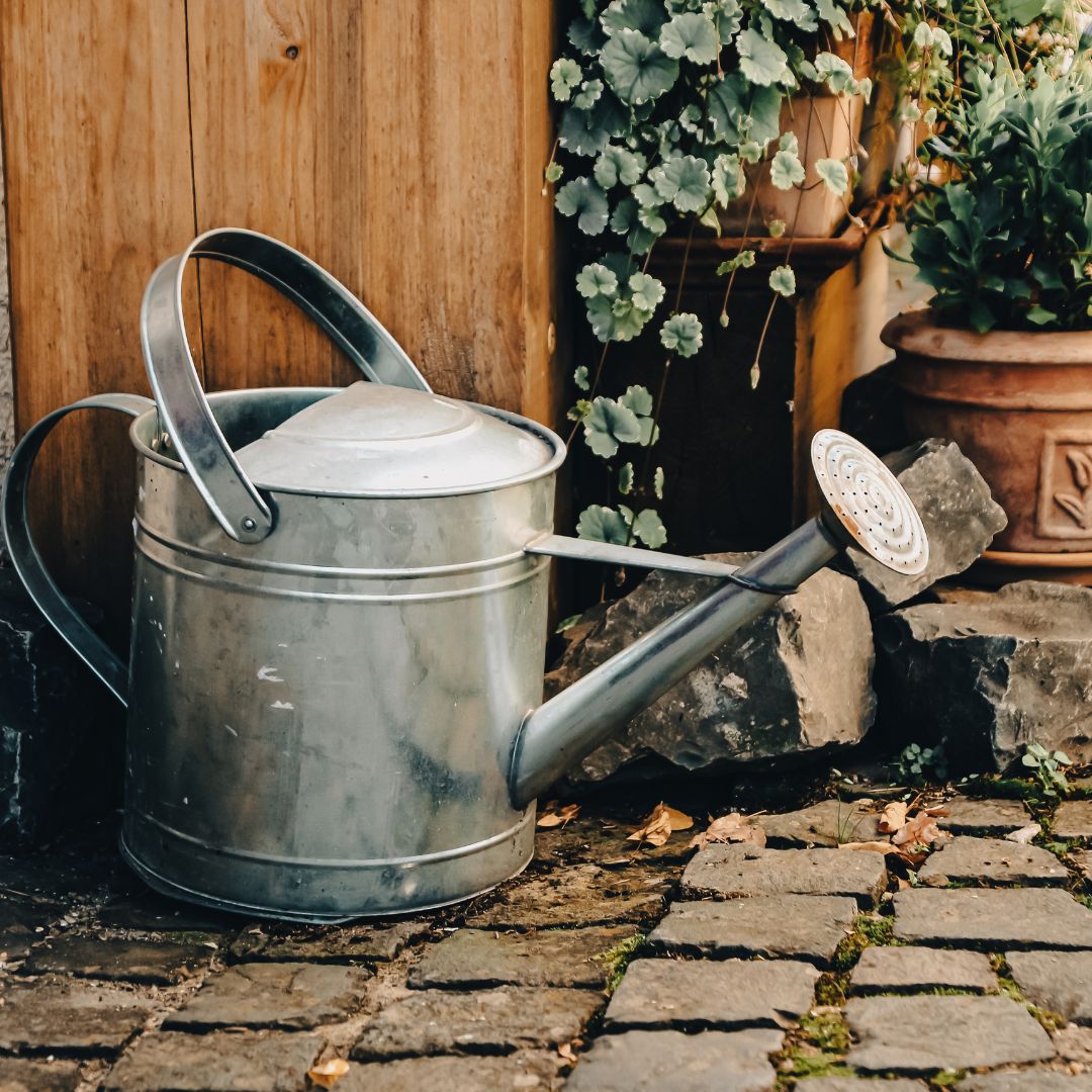 What Colour Should I Paint My Front Door?